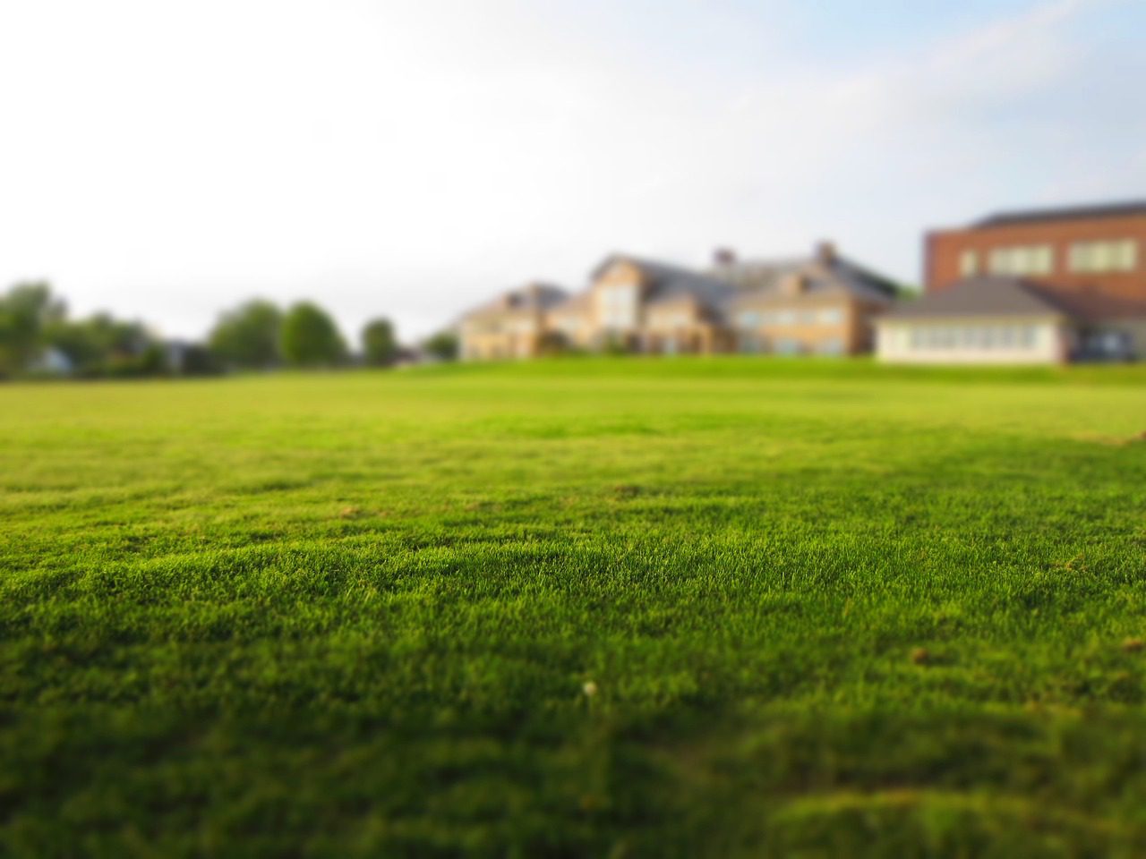 Healthy Bermuda lawn in early spring in Atlanta Spring Bermuda grass lawn care in Atlanta with fresh green turf
